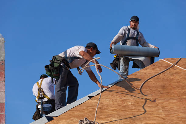 Best Commercial Roofing Services  in St Paul, MN