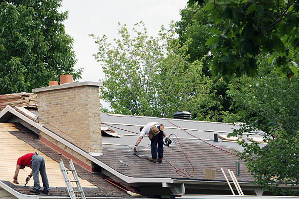 Professional Roofing Contractor in St Paul, MN